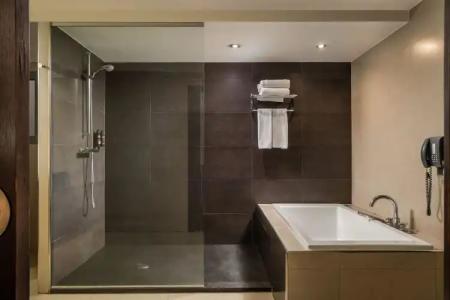 Alegria President - 9