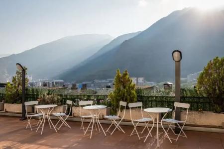 Alegria President - 24