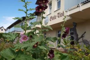 Hotel Gode-Tied, Zingst