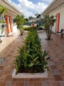 Royal Budget Inn - 3