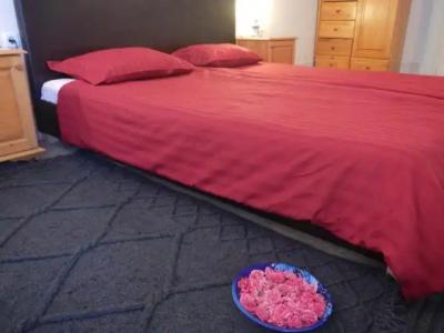 Galeria in the Garden - 30