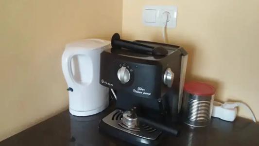 Galeria in the Garden - 47