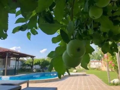 Galeria in the Garden - 25