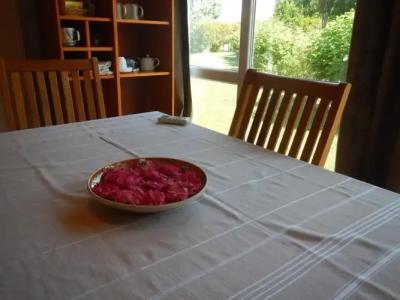 Galeria in the Garden - 59