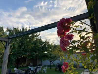 Galeria in the Garden - 26