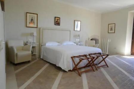 Palazzo Viceconte - 51