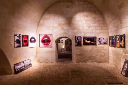 Palazzo Viceconte - 15