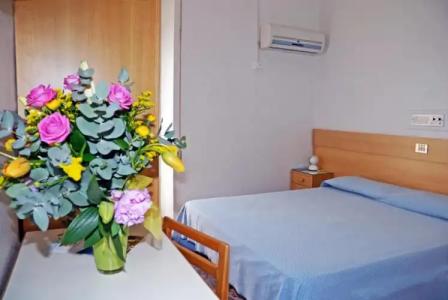 Albergo La Sirenella - 28