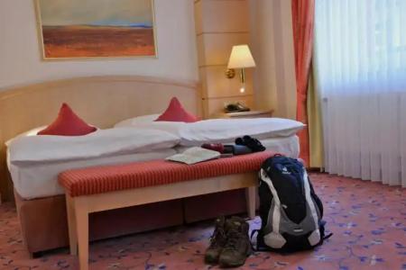 RingWeißer Hirsch - 62