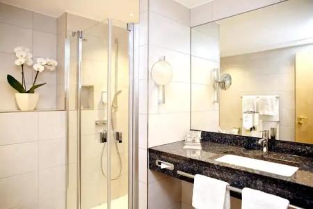 RingWeißer Hirsch - 63