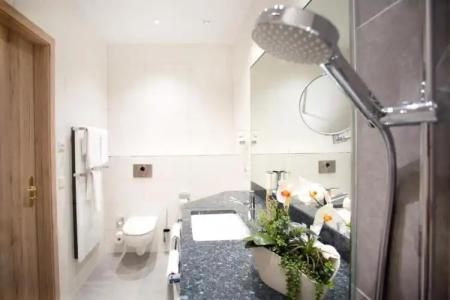 RingWeißer Hirsch - 69