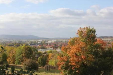 RingWeißer Hirsch - 6