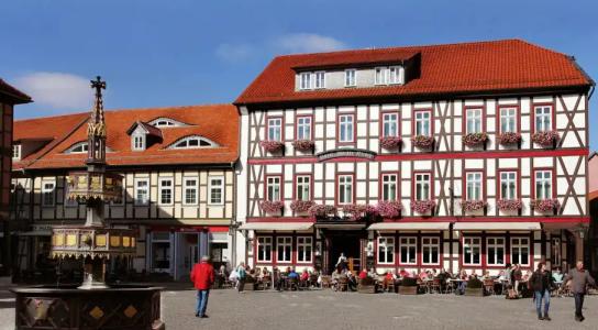 RingWeißer Hirsch - 48