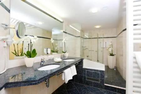 RingWeißer Hirsch - 78