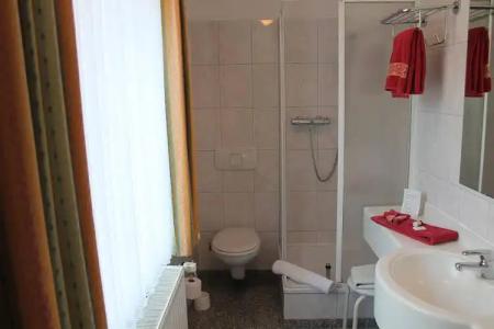 Garni-Alt Wernigeröder Hof - 7