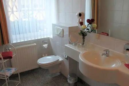 Garni-Alt Wernigeröder Hof - 6