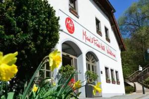 Hotel am Badepark Waldkirchen, Waldkirchen