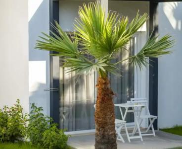 Charm Beach - All Inclusive - 31