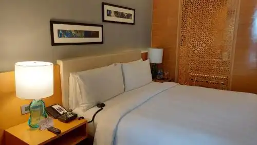 Crowne Plaza Jaipur Tonk Road, an IHG - 132