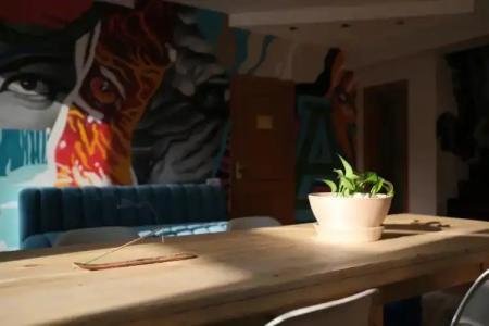 Wanderlust Riverside hostel - 14