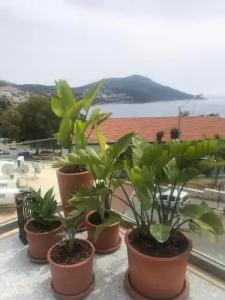 Samira Exclusive & Apartments - 26