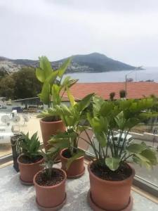 Samira Exclusive & Apartments - 112