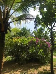 Harmony Beach Bungalows - 50