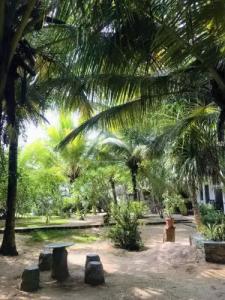 Harmony Beach Bungalows - 25