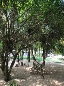 Harmony Beach Bungalows - 24