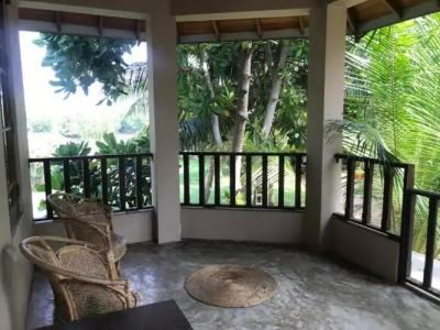 Harmony Beach Bungalows - 38