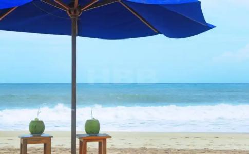 Harmony Beach Bungalows - 8