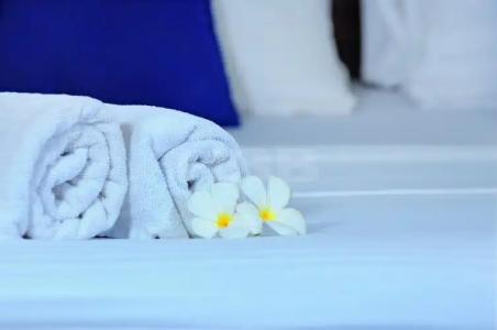 Harmony Beach Bungalows - 35