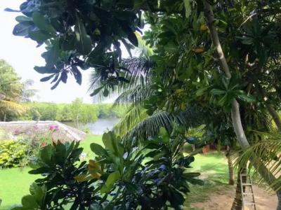 Harmony Beach Bungalows - 37