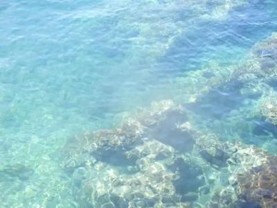 Apartments Harmony - 48