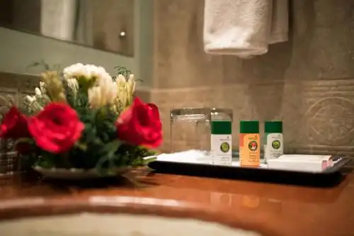 Howard Plaza The Fern, Agra - 106