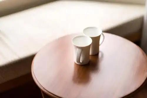 Howard Plaza The Fern, Agra - 107