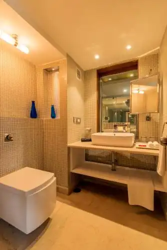 Howard Plaza The Fern, Agra - 101