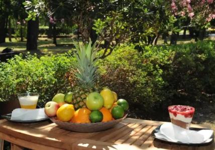 Le Petit Chateau - 16