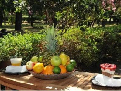 Le Petit Chateau - 4