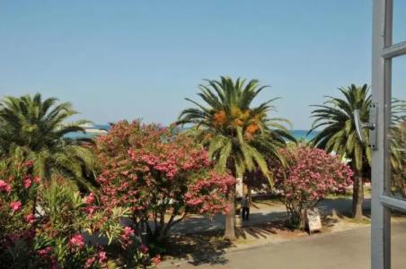 Le Petit Chateau - 8