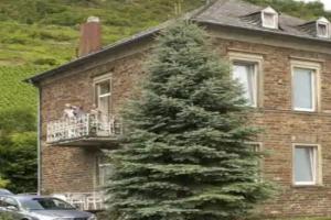 Schlo Petry, Treis-Karden