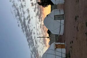 Ailuu Yurt Camp And Guest House Camping, Ton
