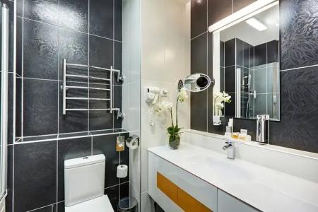 Виктория Олимп и бизнес-центр Минск - 109