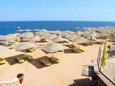 Sharm Reef - 24