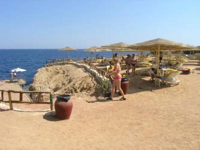 Sharm Reef - 33