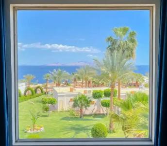 Club Reef Resort & Spa - 62