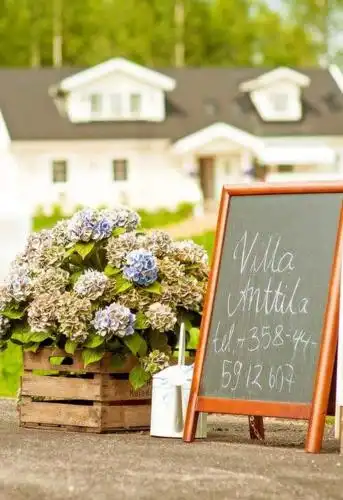 Anttila - 22