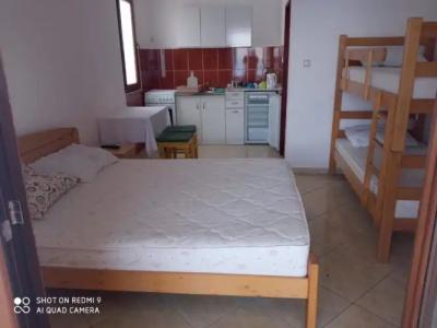 Apartments Petrović - 15