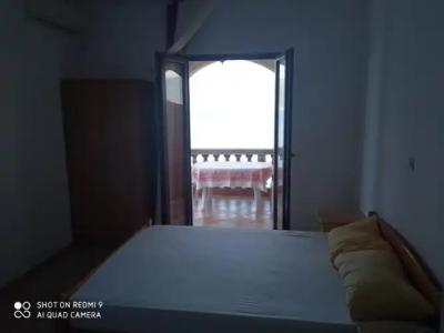 Apartments Petrović - 16