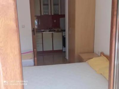 Apartments Petrović - 12